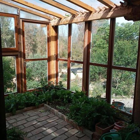 Country Living School Vendégház Làconi Kültér fotó